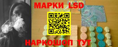 трава Гатчина