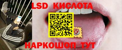 трава Гатчина