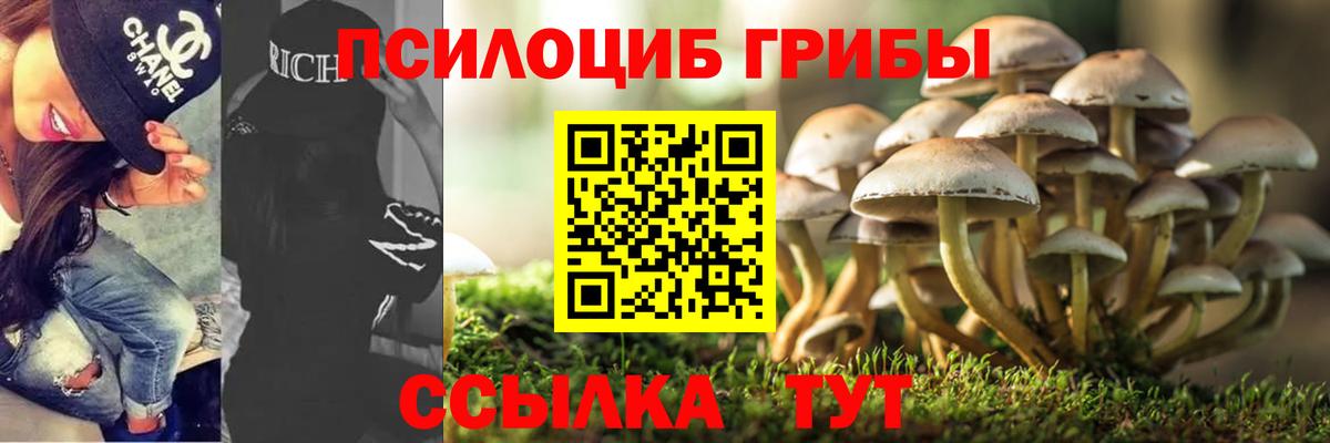 Галлюциногенные грибы Psilocybe  Вход с VPN  цены   Можайск 